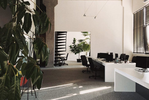 ein sauberes, leeres Büro mit Pflanzen